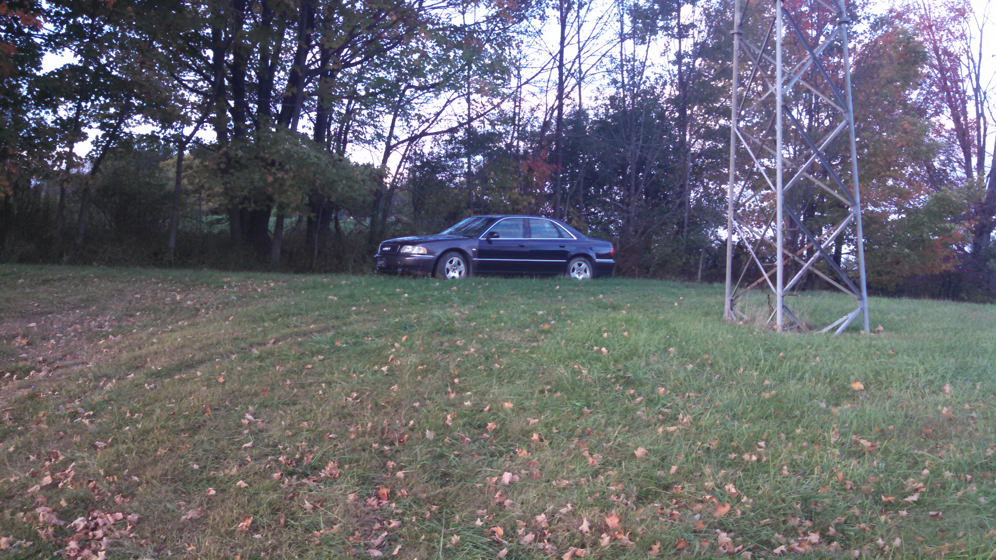 current shot before getting ripped apart.jpg