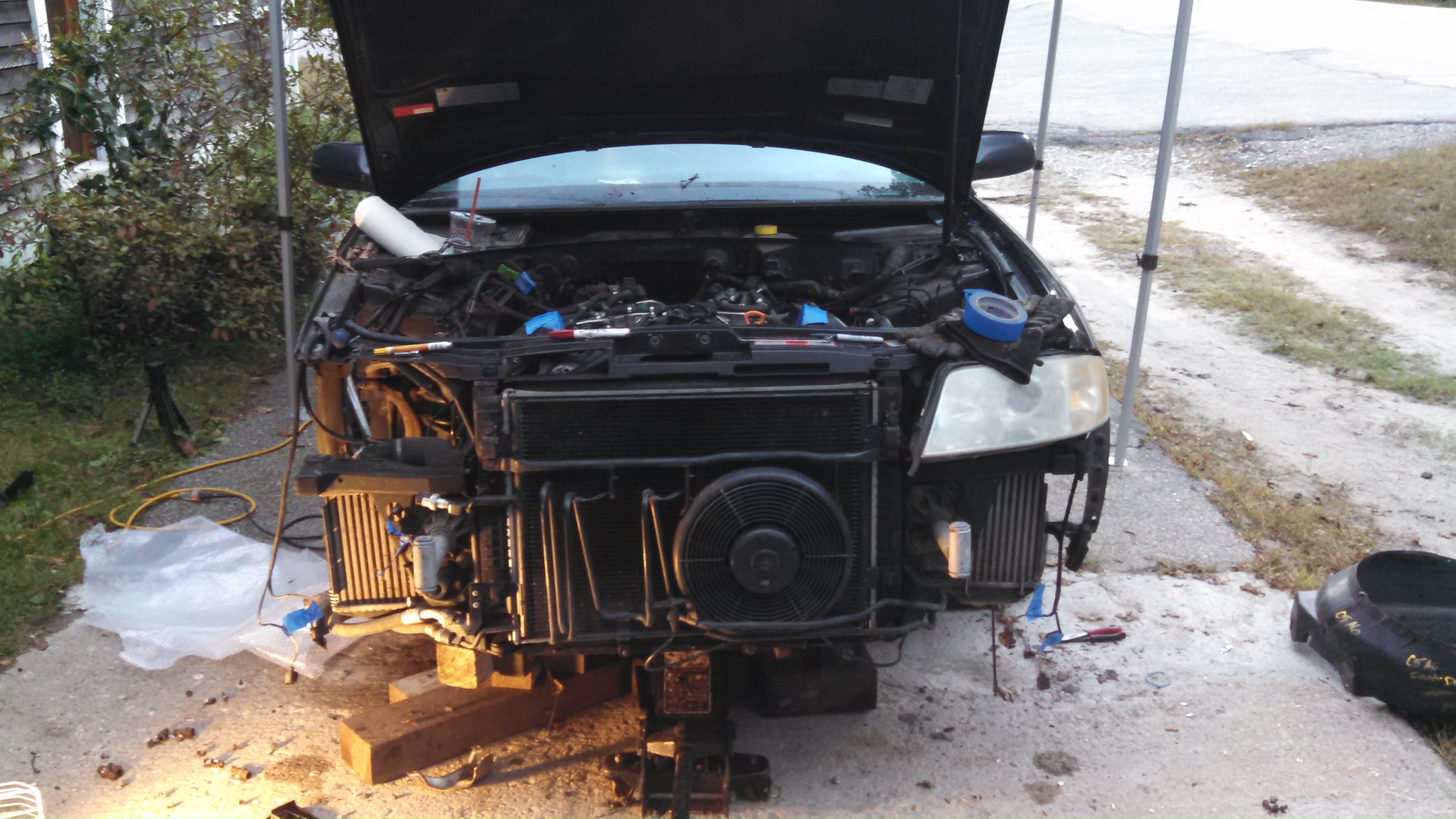 donor getting chopped2.jpg