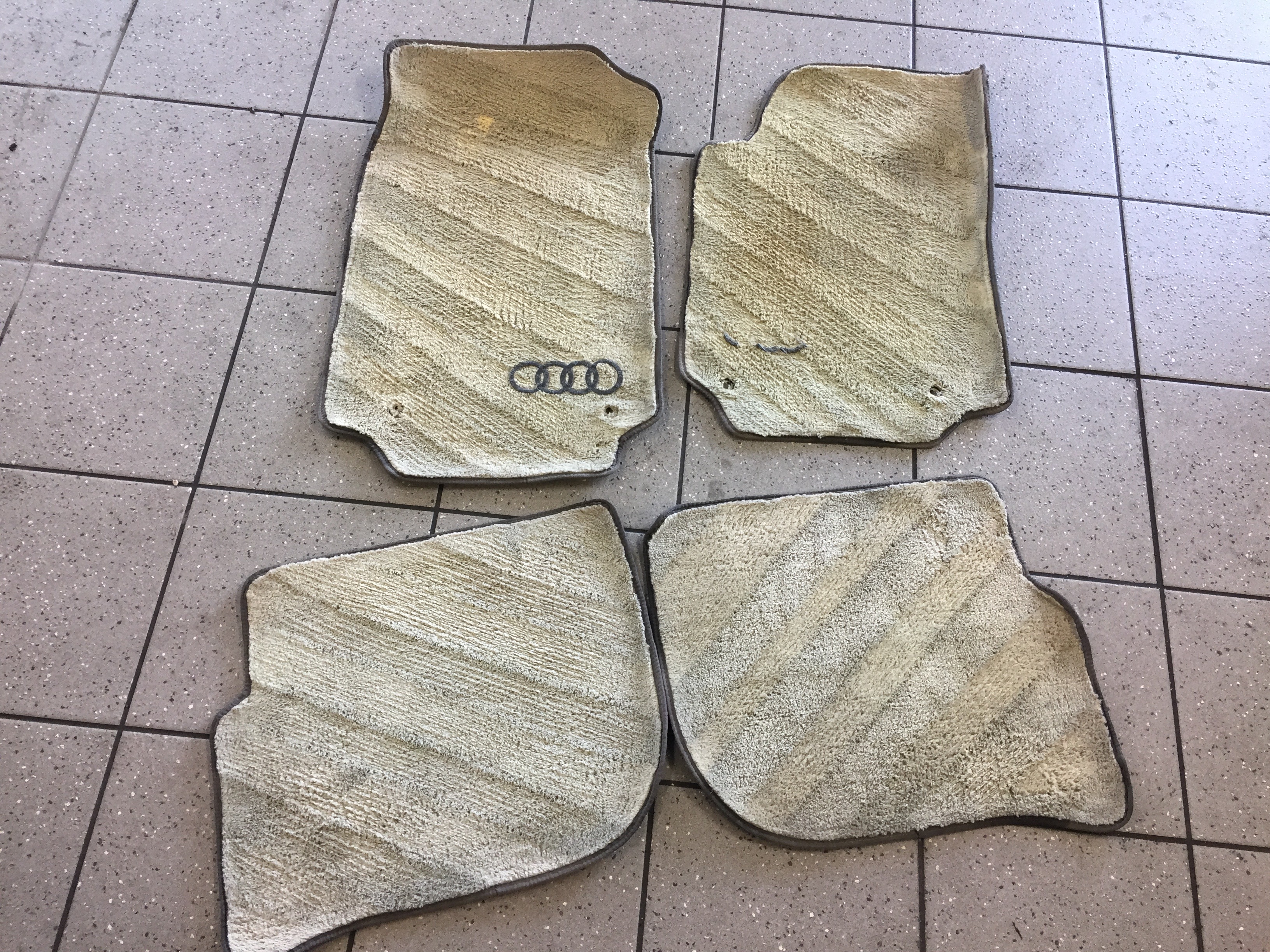 Mats shampoo'd after I got it home